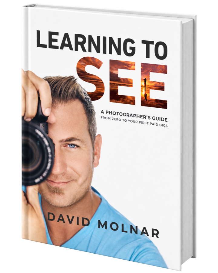 Learning to See — hardcover book by David Molnar