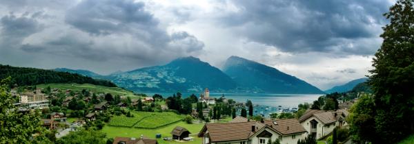 IMG 7958