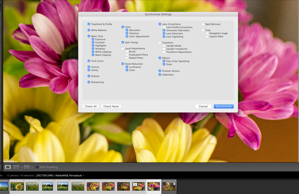 Syncing settings to multiple photos at once is a lightroom best feature