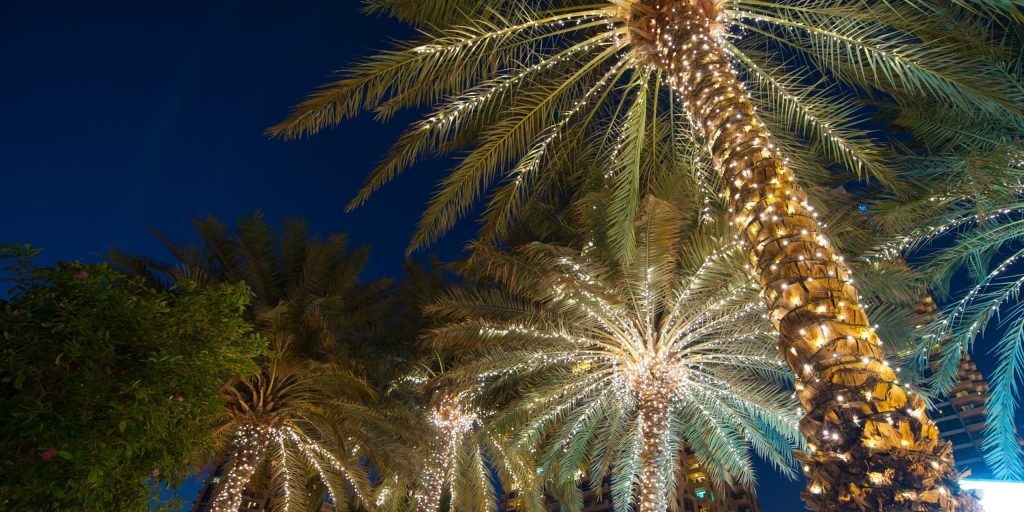 christmas decoration background palm tree christmas decoration background palm tree.