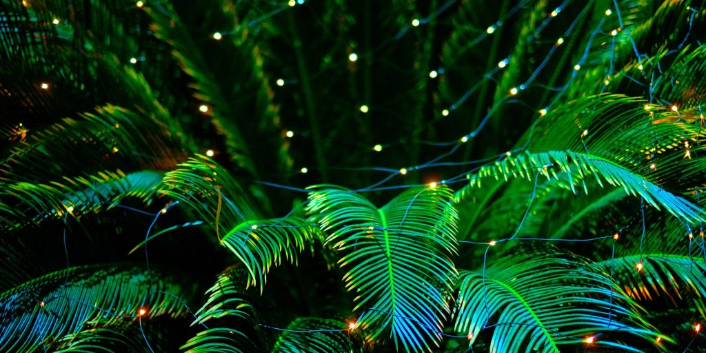 decoration lights lighting effects background for new year christmas holiday bright and colorful decoration lights lighting effects background for new year christmas holiday bright and colorful